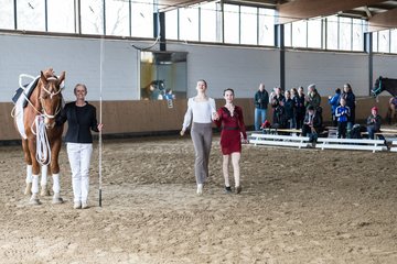 Bild 493 - Voltigierturnier